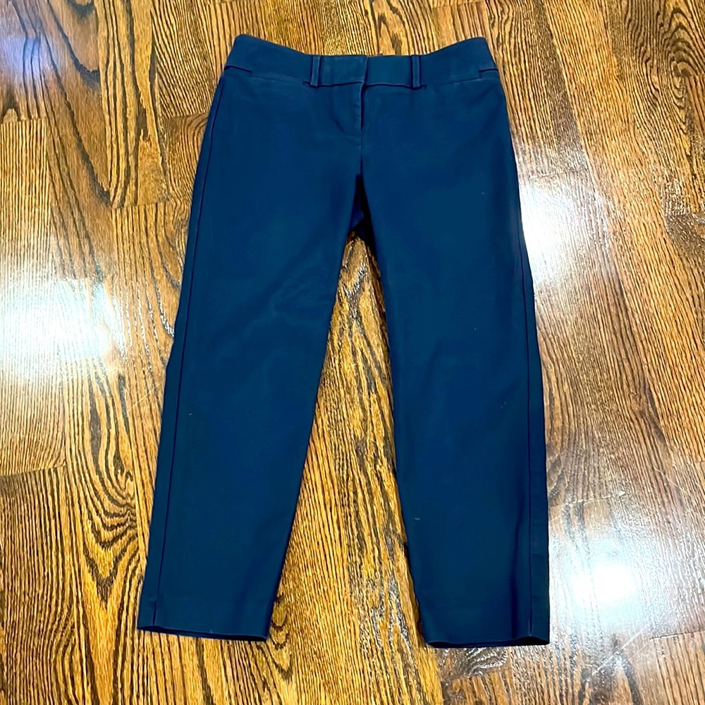 Ann Taylor Loft Marisa Rivera Pants Navy Blue Size 4